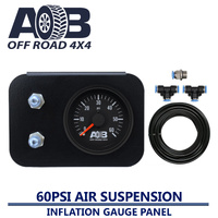 TWIN NEEDLE AIR SUSPENSION INFLATION VALVE 60 PSI KIT