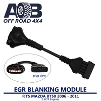 EGR Delete Cable / Blanking Module 005 Mazda BT50 2.5L