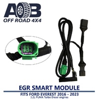 EGR Delete Cable / Blanking Module F01 FORD Everest 3.2L 2016 - 2023
