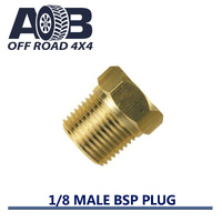 1/8 Male BSP Blanking Plug