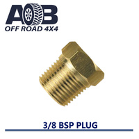 3/8 BSP Blanking Plug